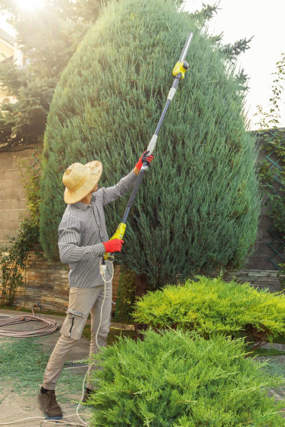 Artificial Turf Installation in Desert Hot Springs, CA